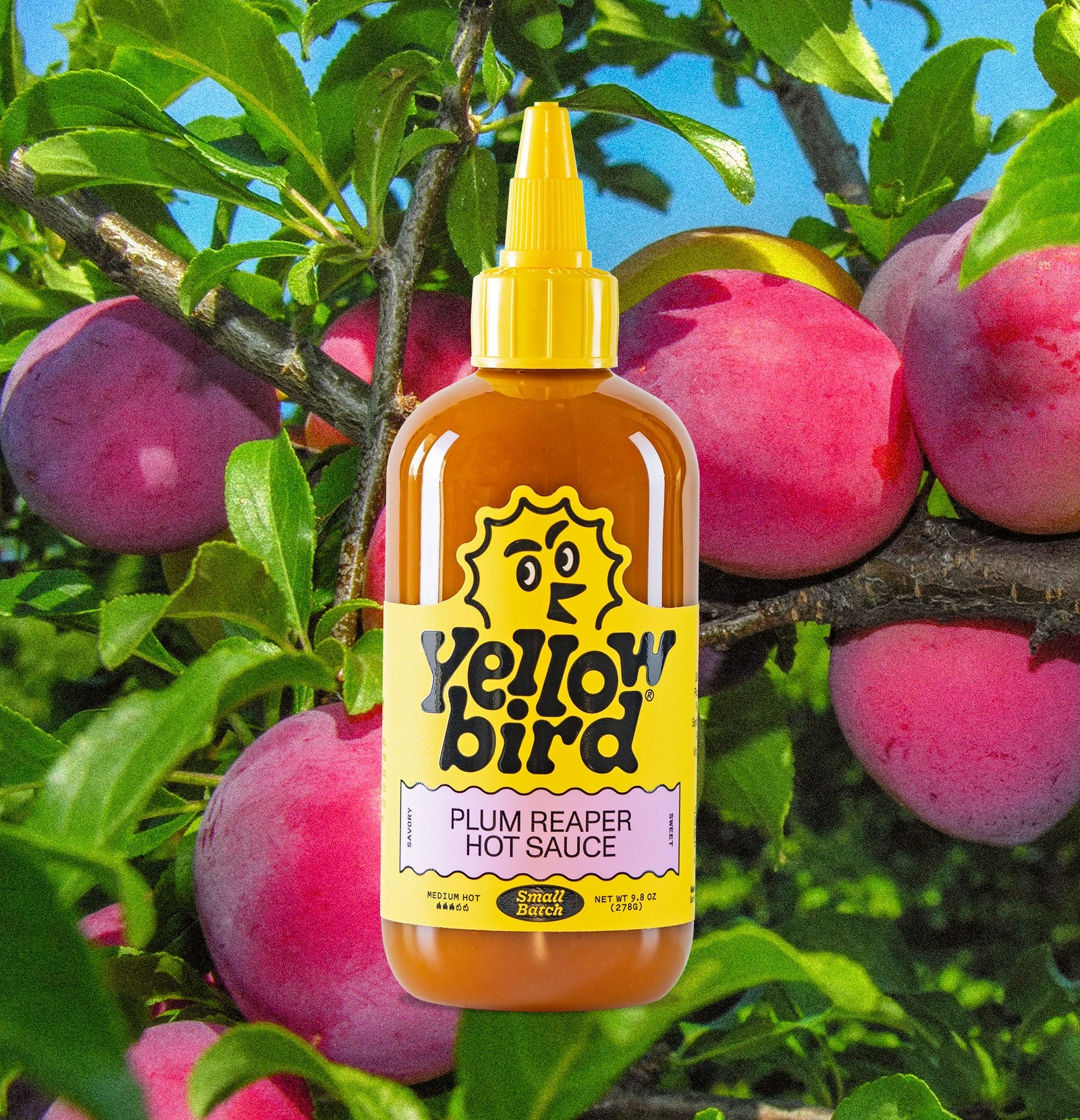 Reaper Plum Hot Sauce B0